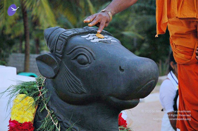 20071008 Photo 113 1XvtrdEbhWiORUAuXzQH0vgEv1GNrtSyy.jpg