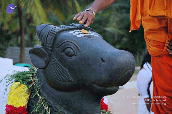 20071008 Photo 114 1R2vrgAbul GK8aWj7bymp6MMAH7dtRDi.jpg