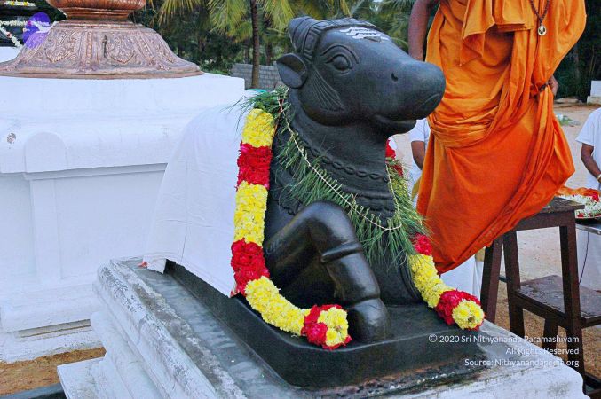 20071008 Photo 120 19-ONEkBt0LvF0cZS58Xkgz9RyQ3pBNzG.jpg