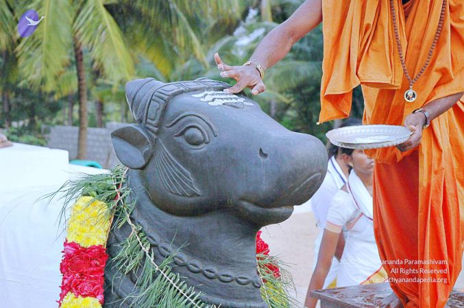 20071008 Photo 122 1B-84Tkx82mF9SNYYP0nqJ0 50DPAF2IY.jpg