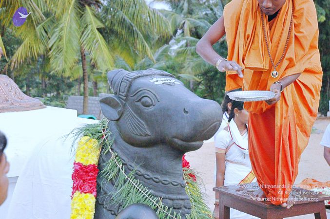 20071008 Photo 125 1nECYbCTKly8NBDNgJvYk1LztRZT6N-sA.jpg