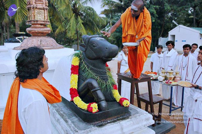 20071008 Photo 127 17v9KxkMbrGXCCwCZW27LHMKNA ECEvzS.jpg