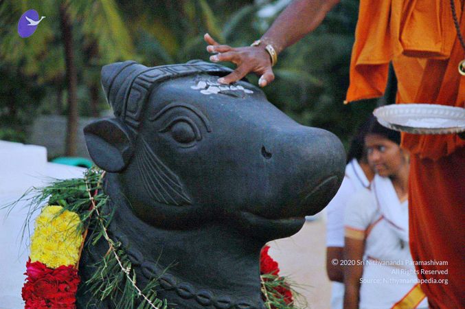 20071008 Photo 130 1RypxNZONM1RoneKZmzfjJ4yOmVgWECIw.jpg