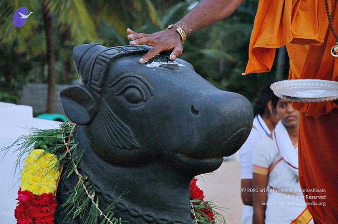 20071008 Photo 131 1rYgFKXAeDiB1Hp5nH76WoC5UFHm5sZaJ.jpg