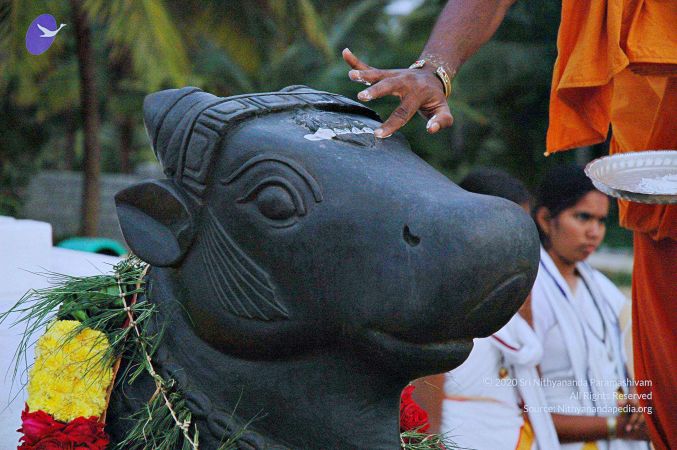 20071008 Photo 133 1gkRRLuJOI84crf8z3hAFOvV 302kzN48.jpg