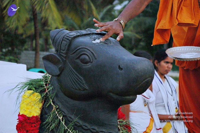 20071008 Photo 134 1voMPwF78-wGQmbt53yP0ZmBOZffego3q.jpg