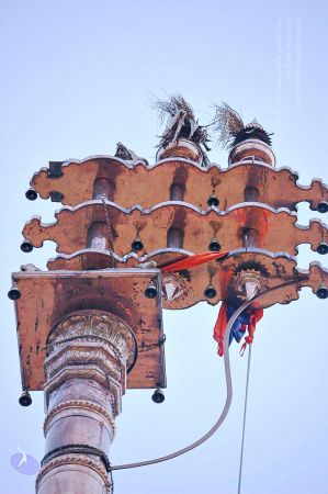 20071008 Photo 144 1YZbF4xAyIQJVrWrg5M9aYxiHaccpcLgw.jpg