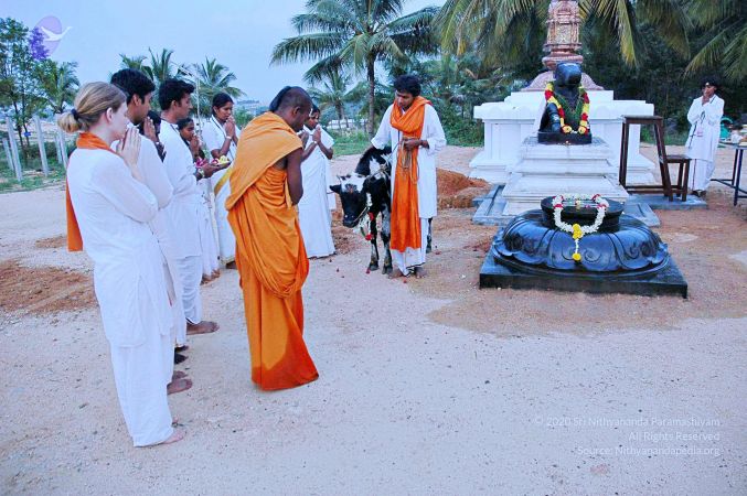 20071008 Photo 14 1IxjmkoTTdJ5AWDW-83QQLwIF2U0iNkeu.jpg