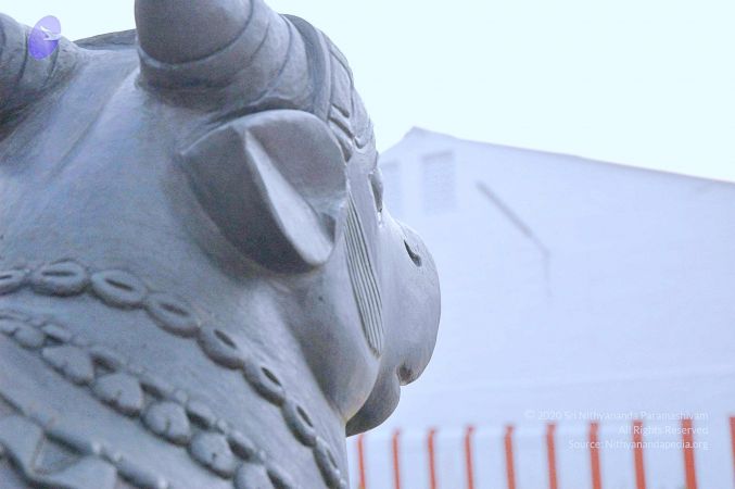 20071008 Photo 157 1z9zLFZJcdtdXweEjqoudPlHal0h7Tn0l.jpg