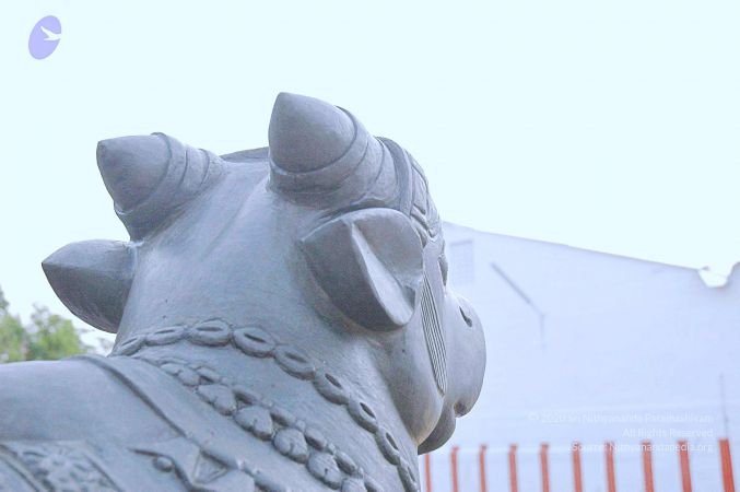 20071008 Photo 159 1OsoWXT4TtF9 Xr5a2FWFA7-51dw7nNuB.jpg