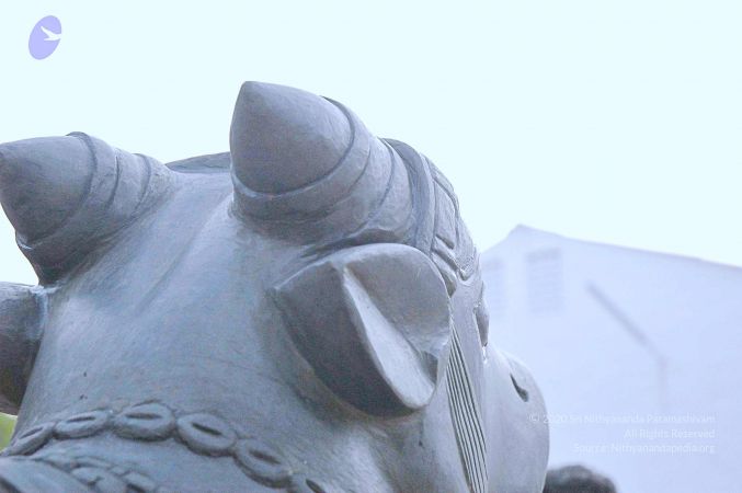 20071008 Photo 160 1kIfO3rca 2GbqgRhKFLVH58Ji usW9fy.jpg