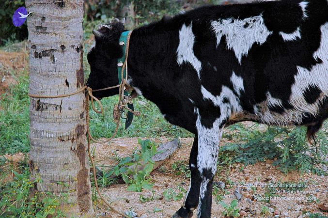 20071008 Photo 164 1-9hDBDgTlri7 A96AmSF Xory14t5WLK.jpg