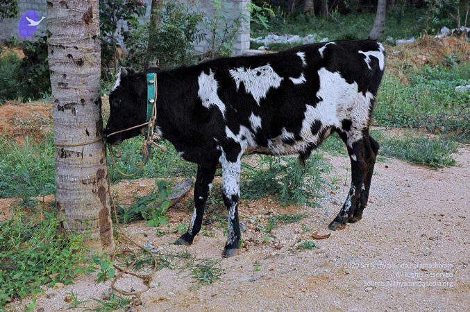 20071008 Photo 166 1C5axDHBqQaBofyAcy0tN7Af WR9hrGbZ.jpg