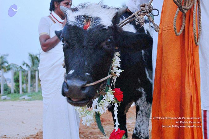 20071008 Photo 16 1MImO6TpSweexicWc-kMVufX6RQJOO-Ha.jpg