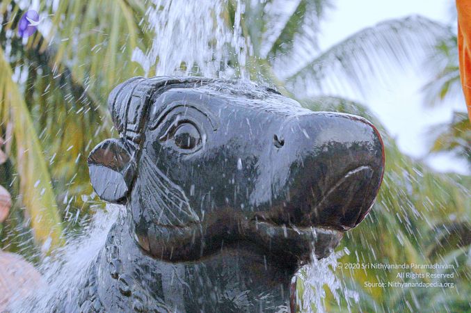 20071008 Photo 185 1eQDpXRl7EIvSwo08C2-OyidENsF66OTd.jpg