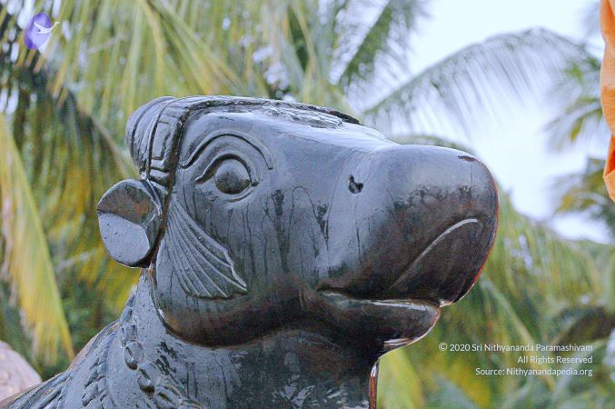 20071008 Photo 186 1-JUsqJzYxBm0o1o1oyVaZYWa 2x-0dWP.jpg