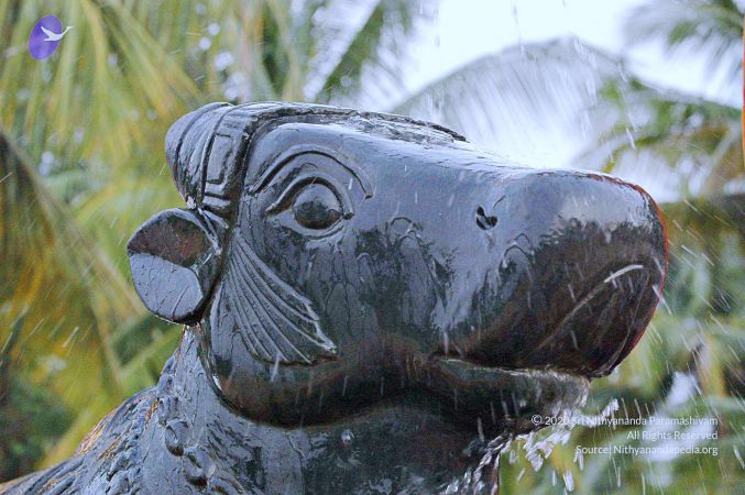 20071008 Photo 187 17UZ3PF9ifiOJnQxnIlUgpoLQCQyEeH8k.jpg