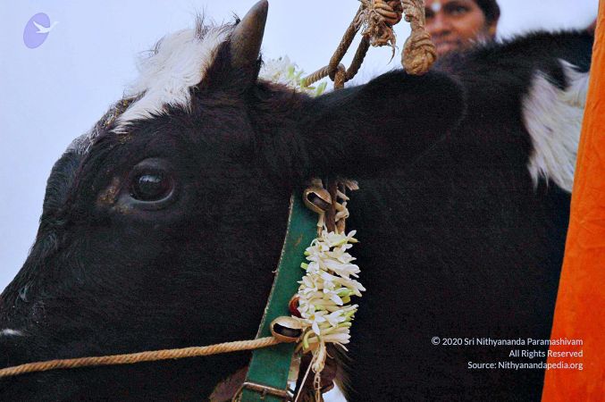 20071008 Photo 18 1SM4DniKnrsnJrI0t-l3dVuP8mwp-T7jG.jpg