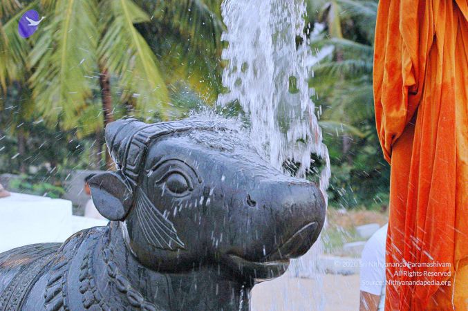 20071008 Photo 190 1bPy3Pz8vHu8HXdFDatn w5bO TtsnRTx.jpg