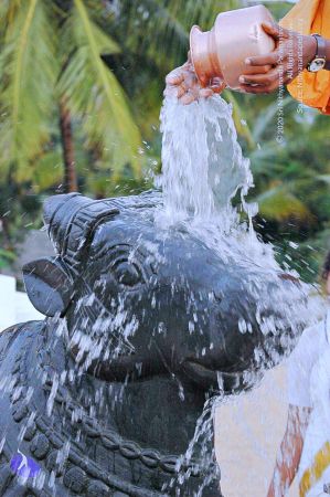 20071008 Photo 192 1i7dwxFkNxpZxH6oI6RtB89PYvxKENXam.jpg