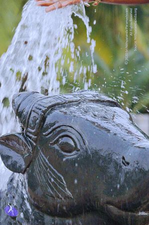 20071008 Photo 193 17QqSM0Zc2SYnNTEqhtscZUA1dcxatlvZ.jpg