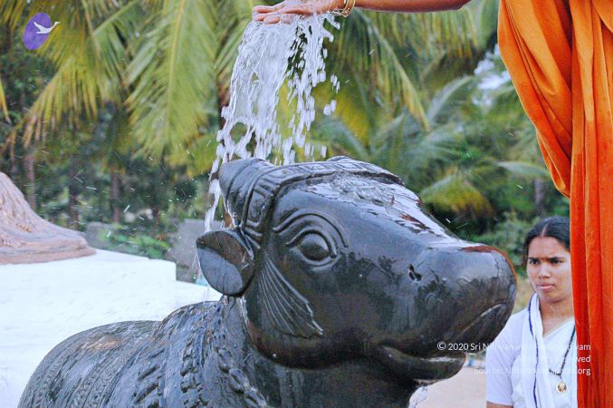 20071008 Photo 195 1J1yKvNPljZkgmA2FyiVmUkpDUR4oE11f.jpg