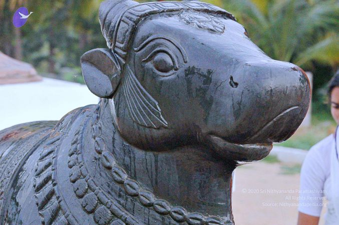 20071008 Photo 198 1oV6awNGhFRkmLOQcVG28Q6pB6 DB62ql.jpg