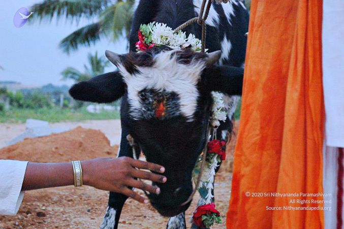 20071008 Photo 19 1z7v1bUB nUorZzyPlz8bnT4ClbxOL7VP.jpg