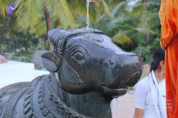 20071008 Photo 201 1ACRuxBNOuop1KIIsmYfIrw2mwx8xfv2b.jpg