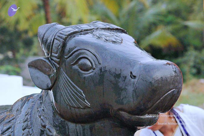 20071008 Photo 203 1ljPrKl0vj2M045sMHEwoTx-xtueQO7VU.jpg