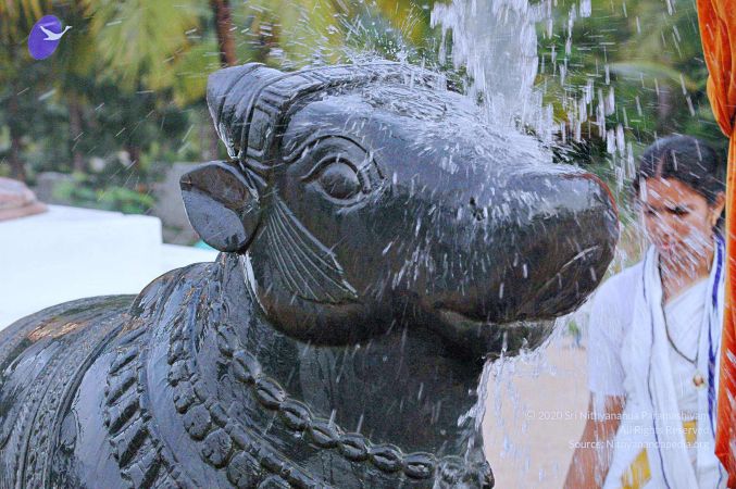 20071008 Photo 204 1L2TEzGdLFD -QtcOfARyd3eX6Vc2FYfI.jpg