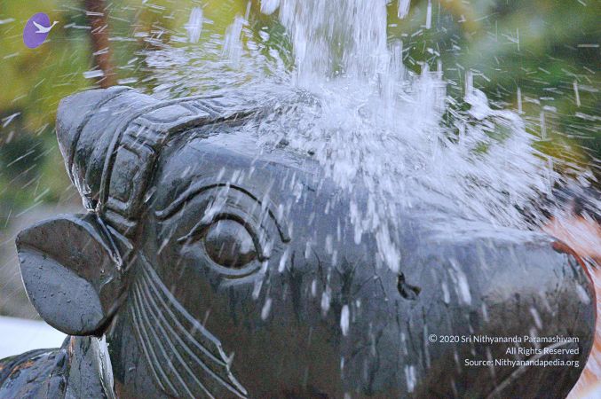 20071008 Photo 206 1oQagDGCKhUVUqT1k7mKBDy8uKYuGeq5v.jpg