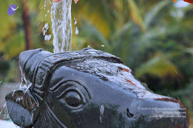 20071008 Photo 207 1MOPYeFQCRtrBzxjhnSjDw6BvzRfzsB5E.jpg