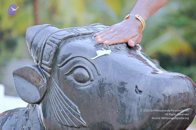 20071008 Photo 208 16g3Hi43 Zvxpgq5PVLL1YVTxU1lwC3AF.jpg