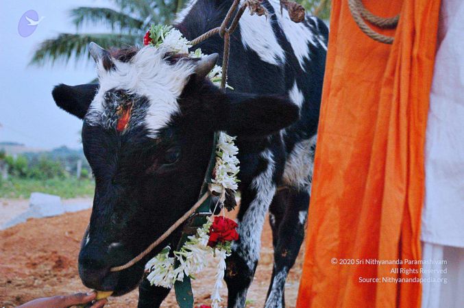 20071008 Photo 20 1TUxzzXf JKSwEjfuhwbfDl0ieOiTYacx.jpg