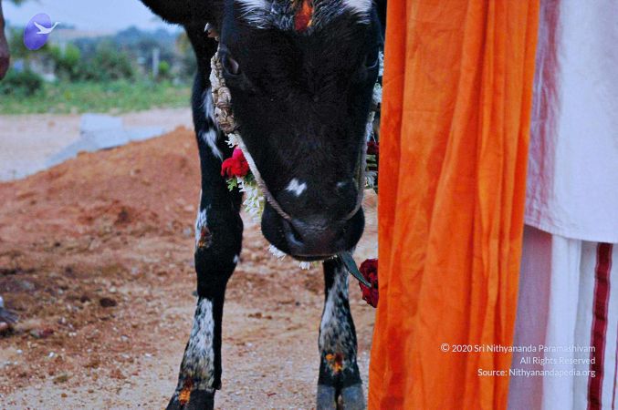 20071008 Photo 21 1xdU5iVtEDvybAUS8cgRzWAl0HkI6146o.jpg