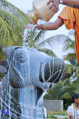 20071008 Photo 221 1lE2yqRi7C7gPOqzG1Kx4iFJi9-6w70Gt.jpg