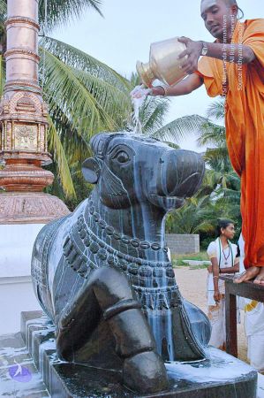 20071008 Photo 223 16Y8bjmmqF QBWPBWDtXub3IhgcCzhb1Z.jpg