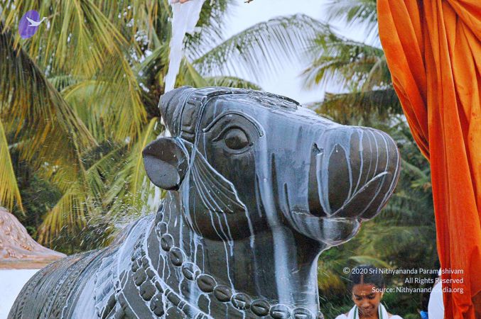 20071008 Photo 225 1OTzyDx37-gPSakqe2FGaT96jAb22FBv4.jpg