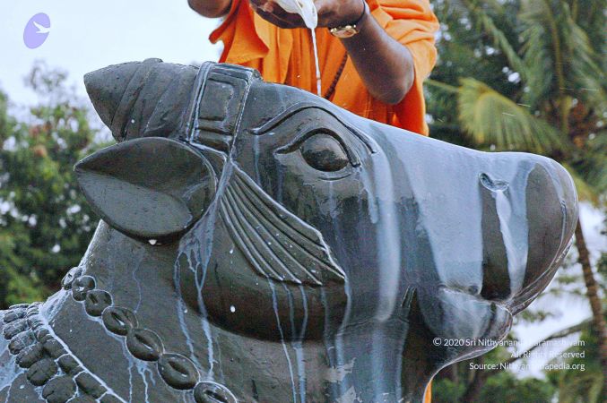 20071008 Photo 226 11Ue21xIKqRF rPuedwRgsaYueNkHBP24.jpg