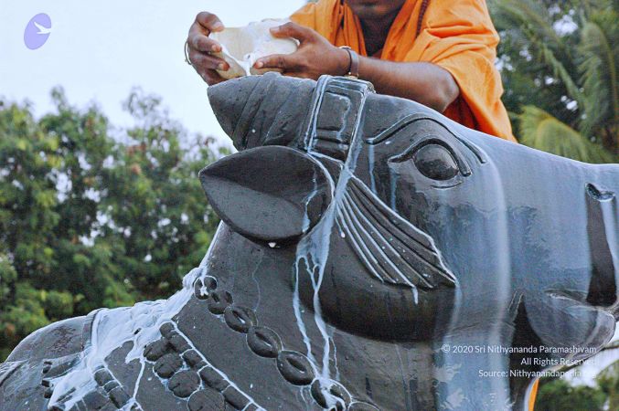 20071008 Photo 228 17VMn0f3DvGCN3Vu4COlCvLXAu3DZMelA.jpg