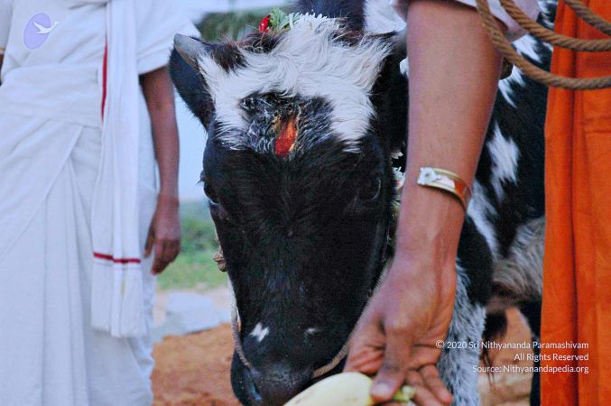 20071008 Photo 22 1C3jzrO-WKdylnNd7sYRpl7qQiZbIRI34.jpg