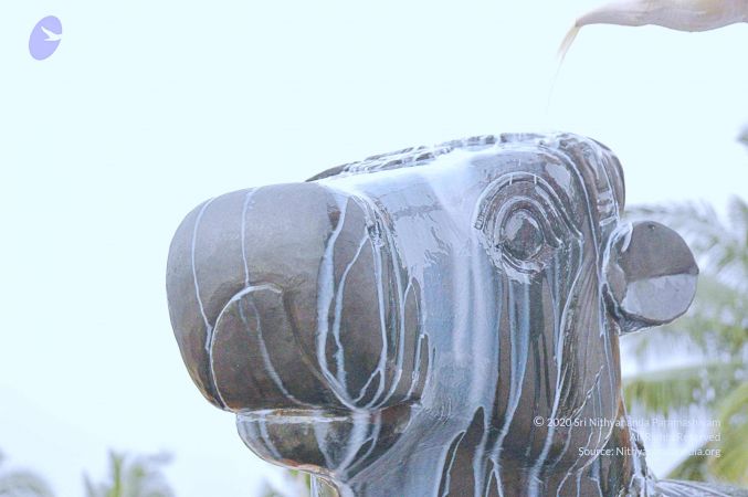 20071008 Photo 232 1NLWZi4b-VMWthACOxfCGTX5Bv0B3nDEw.jpg