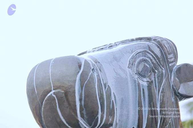 20071008 Photo 233 1kmyIMgksaK0gHf39OU8puQx0Wkj2HAdv.jpg