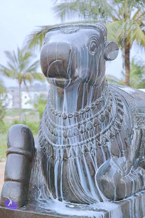 20071008 Photo 236 1tvS uJ0f9FkBIPKD1d19ERNG6gBG2y1o.jpg