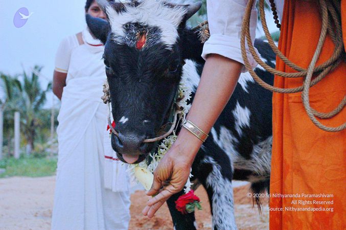 20071008 Photo 23 18b nluw4pqatiDl222KC17qtaKxd3e38.jpg