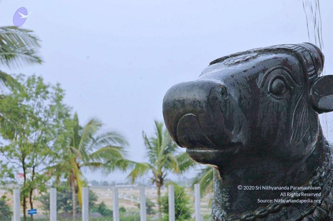 20071008 Photo 242 1kI8-YP4LDGn3iU7TaS eWsnrh5Ol-N4I.jpg