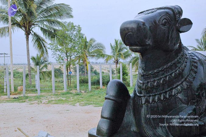 20071008 Photo 243 1wx21 0Kr1vYj7jFyuOo8HYVLnsG5UT5n.jpg