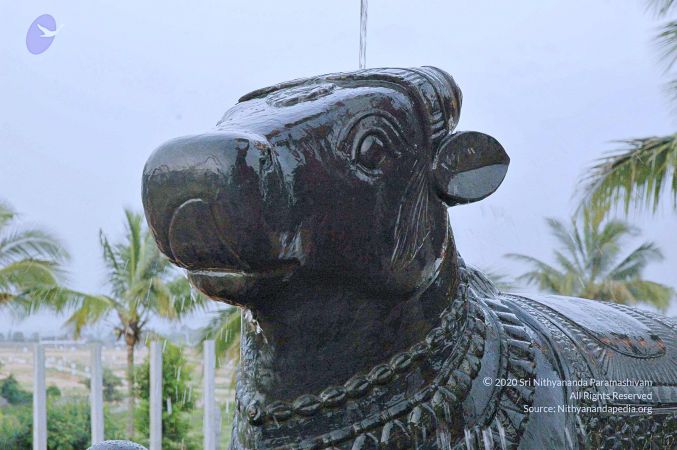 20071008 Photo 245 1W2IXqnTbY6D8FP2ONkvjTA9xAI2x2QaV.jpg