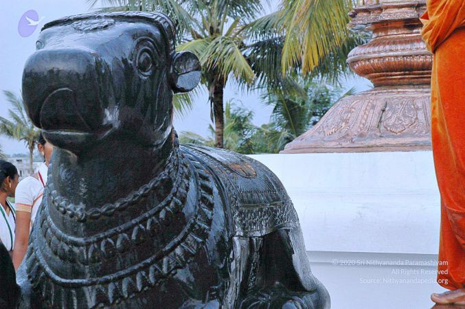 20071008 Photo 246 1wqkzwuj4NXQp4H6a75qUldAekCwZUrYN.jpg